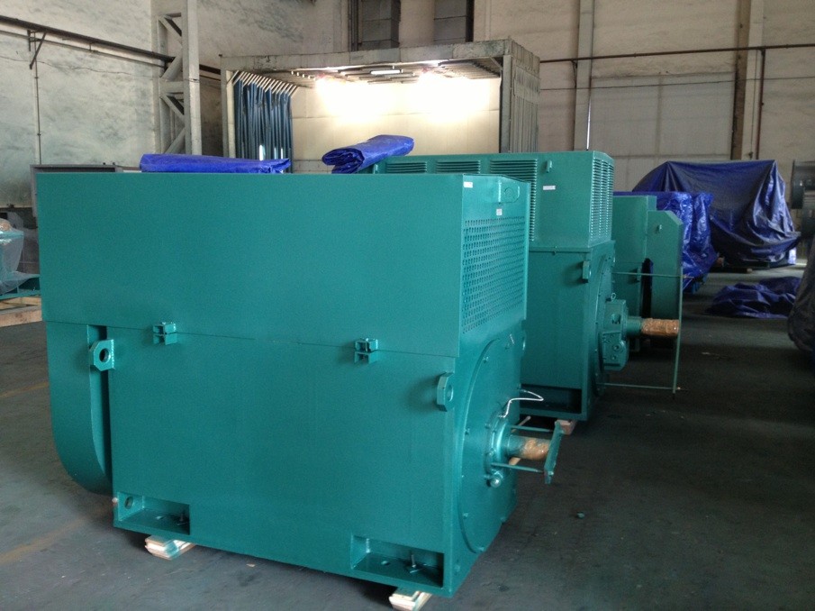 如意彩Y4507-6 560KW 6KV 高压电机